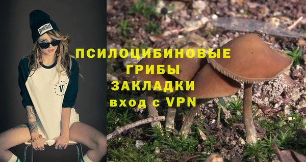 трава Беломорск