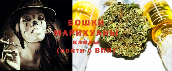 прущие грибы Белоозёрский