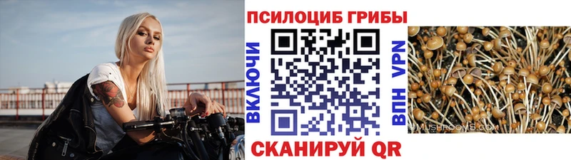 Псилоцибиновые грибы мухоморы  Дыгулыбгей 